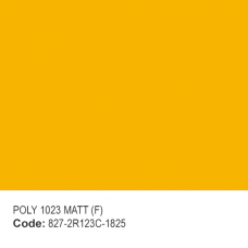 POLYESTER RAL 1023 MATT (F)